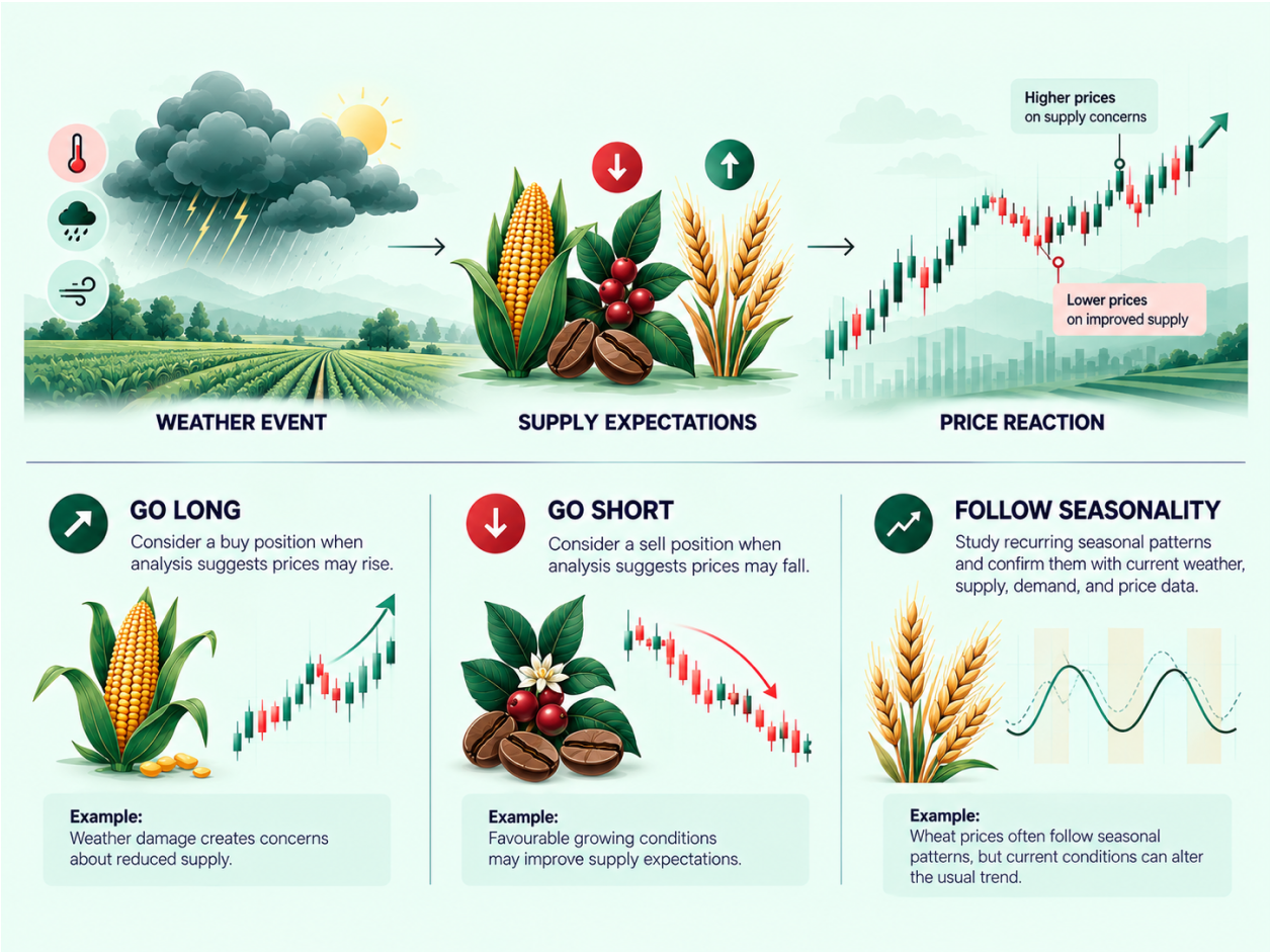 How Weather and Seasonality Affect Soft Commodities infographic (2)
